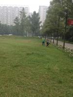 第二周托管：久居福公园真好玩