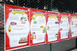 棠外附小第二届科技节系列活动