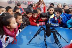 棠外附小第二届科技节系列活动