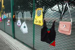 棠外附小第二届科技节系列活动